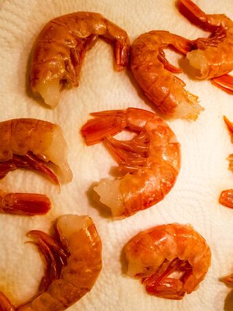 Prawns and scampi you need for the Italian specialty Spaghetti ala Busaraの写真素材