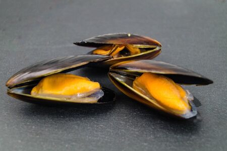 Fresh mussels cooked in their shells