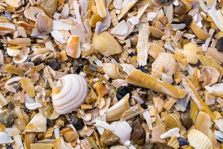 Background or wallpaperの写真素材