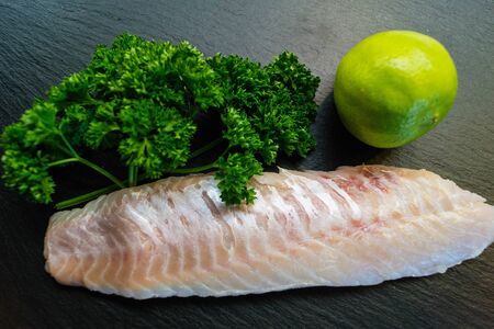 Red Snapper Sebastes norvegicus fish fillet