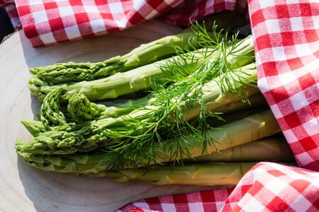 Asparagus officinalis a seasonal vegetableの写真素材