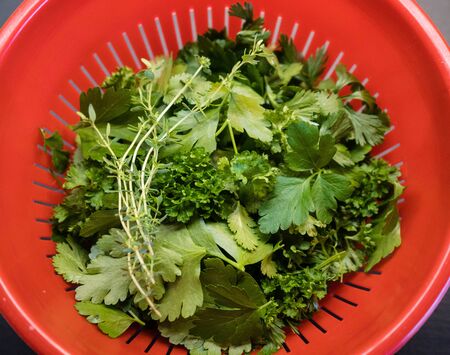 Red and green garlic sauce for canarian potatoesの写真素材