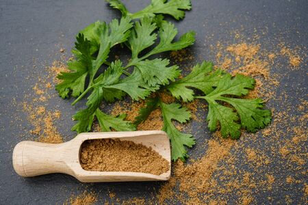 Brown coriander powder and wooden spoonの写真素材