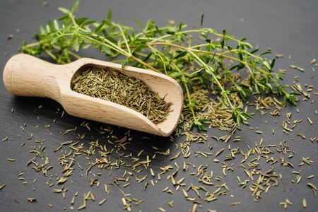 Thyme Thymus vulgaris and a wooden spoonの写真素材