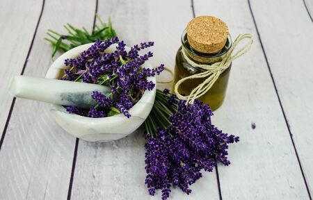 Alternative medicine with Fresh lavender Lavandula angustifoliaの写真素材