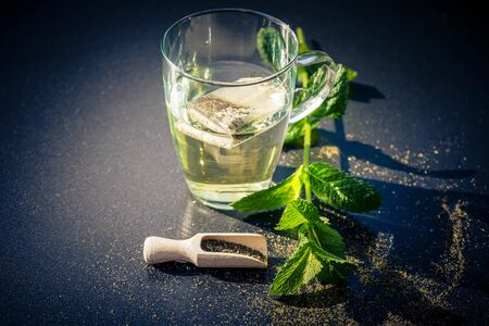 Teatime with green Fresh Peppermint leaves Mentha piperitaの写真素材