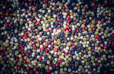 many peppercorns in different colorsの写真素材