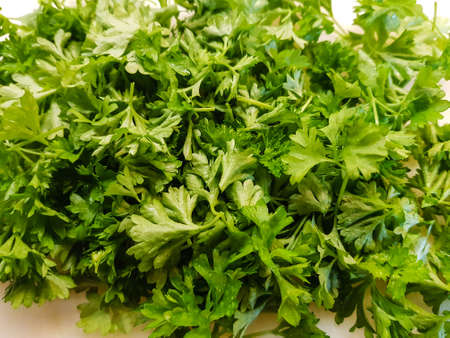Fresh sliced green parsley leaves