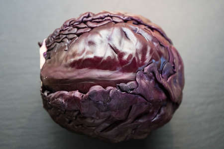 sliced red cabbage Brassica oleracea