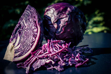 sliced red cabbage Brassica oleraceaの写真素材