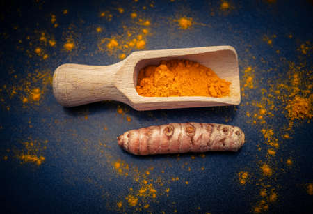 Turmeric Curcuma longa the yellow spiceの写真素材