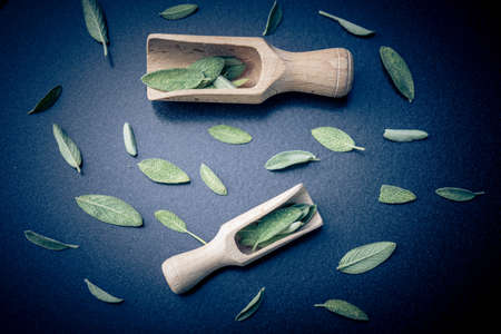 Alternative medecine with sage leavesの写真素材