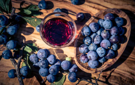 blue round fruits of the blackthorn bushの写真素材