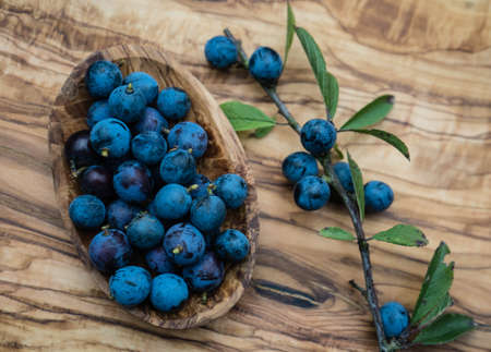 blue round fruits of the blackthorn bushの写真素材