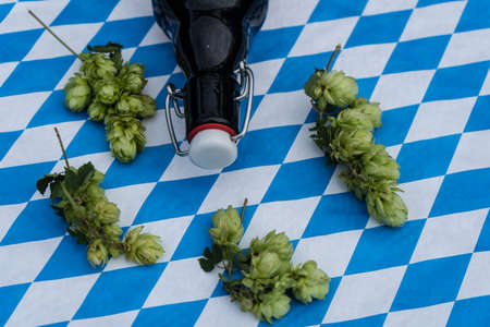 Fresh green hops a component for brewing beer