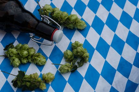 Fresh green hops a component for brewing beerの写真素材