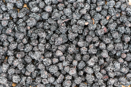 dried Black rowan aronia chokeberry on olive woodの写真素材