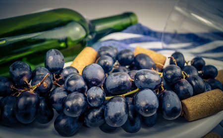 vine leaves and grapesの写真素材