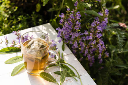 sage blossom and leaves