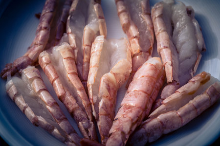 mediterranean marinated seafood for grillingの写真素材
