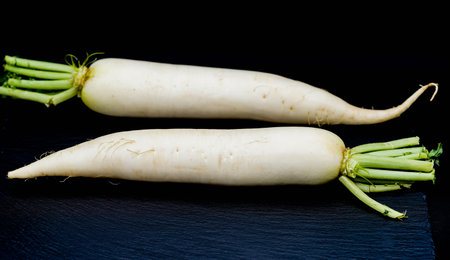 radish the long white root vegetableの写真素材
