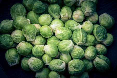 green brussel sprouts brassica oleracea