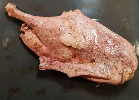 Roasted goose with potatoes red cabbage and brown gravyの写真素材