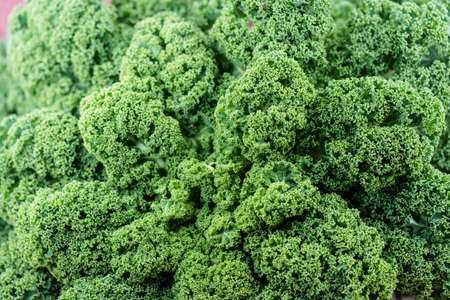 traditional northern german food green curly kale