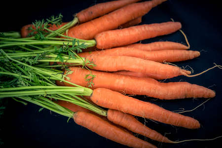 a bunch of freshly picked carrotsの写真素材