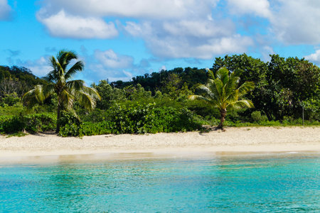 at the coastline of Antiguaの写真素材