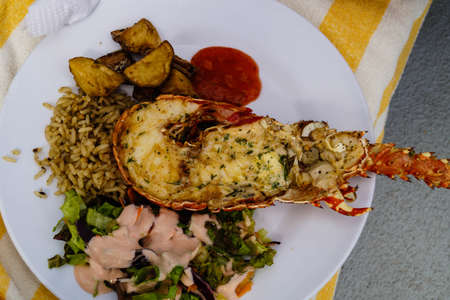 freshly grilled crawfish or lobsterの写真素材