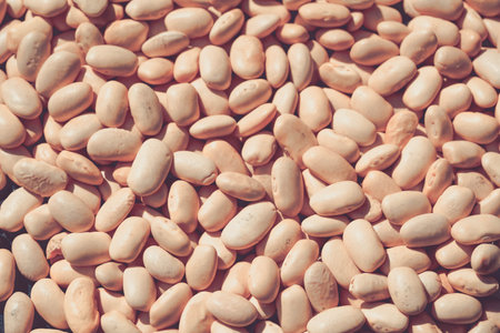 colored food as abstract background or wallpaper