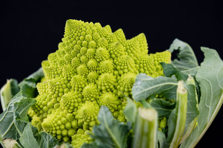 Romanesco the italian green cauliflowerの写真素材