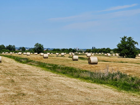 Hay harvest next to Hamburg