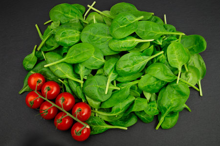 Fresh green spinach from the home gardenの写真素材