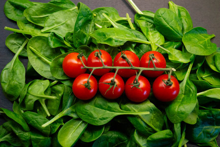 Fresh green spinach from the home garden