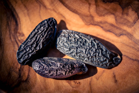 brown dutch tonka bean on olive woodの写真素材