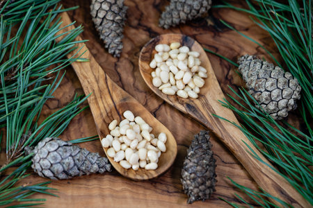 Cedar cones and nuts on olive woodの写真素材