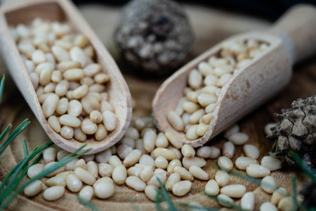 Cedar cones and nuts on olive woodの写真素材