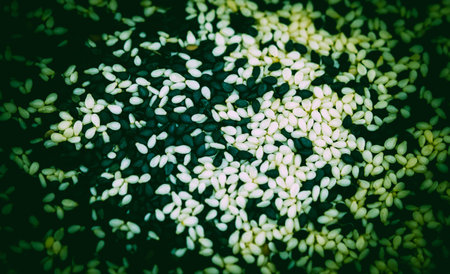 colored food as abstract background or wallpaper