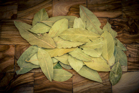 Bay leaves Laurus nobilis on olive woodの写真素材