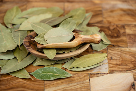 Bay leaves Laurus nobilis on olive wood