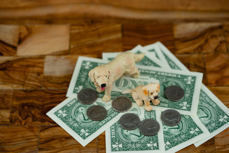 how expensive is a pet