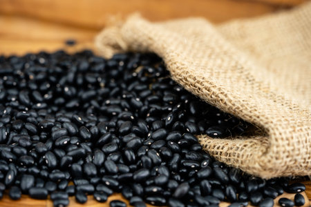 The black turtle bean is a small, shiny variety of the common bean Phaseolus vulgarisの写真素材