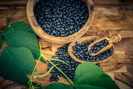 The black turtle bean is a small, shiny variety of the common bean Phaseolus vulgaris