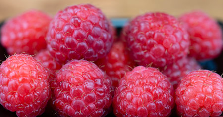 Rubus Blackberry wild forest flowers and fruits