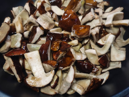 fresh wild mushrooms out of the forestの写真素材