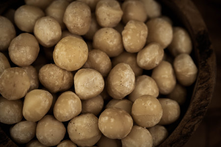 Macadamia nuts Macadamia tetraphylla on olive woodの写真素材
