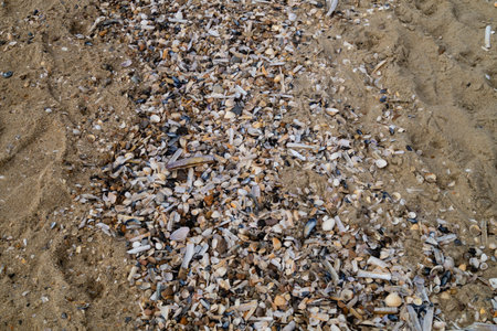 the endless beach of Hvidbjerg Strand Denmark