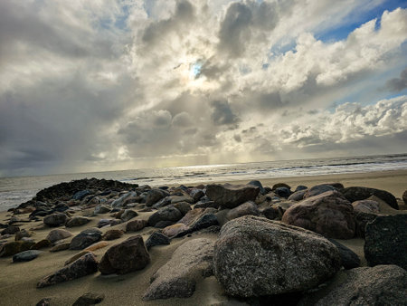 at the beach of Blavand in Denmark